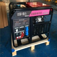 小功率汽油發電機組3